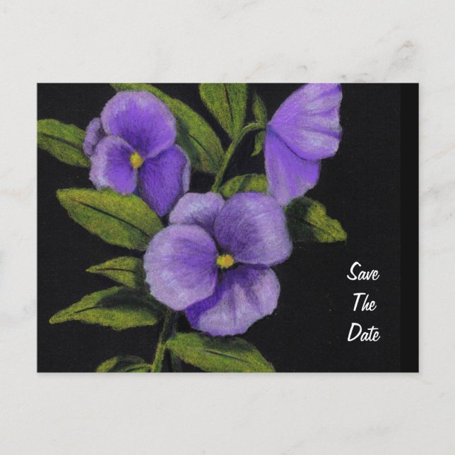 Pansies in Colour Pencil: Save the Date Announcement Postcard (Front)