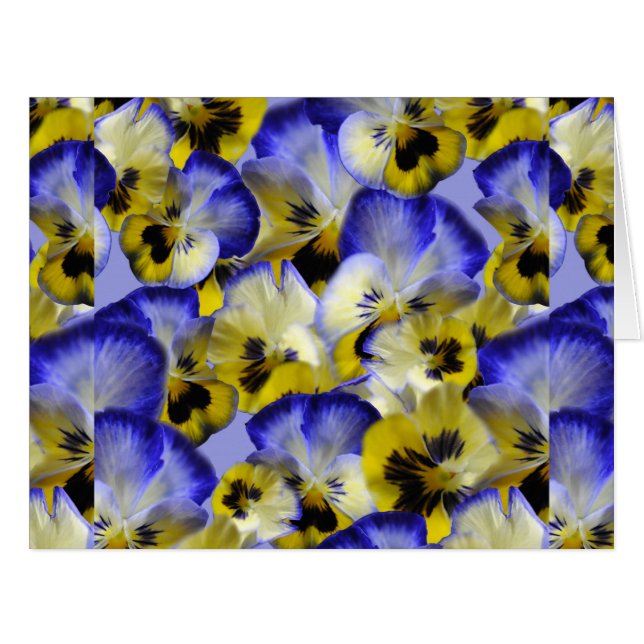Pansies jaunes bleues Fleurs (Devant horizontal)