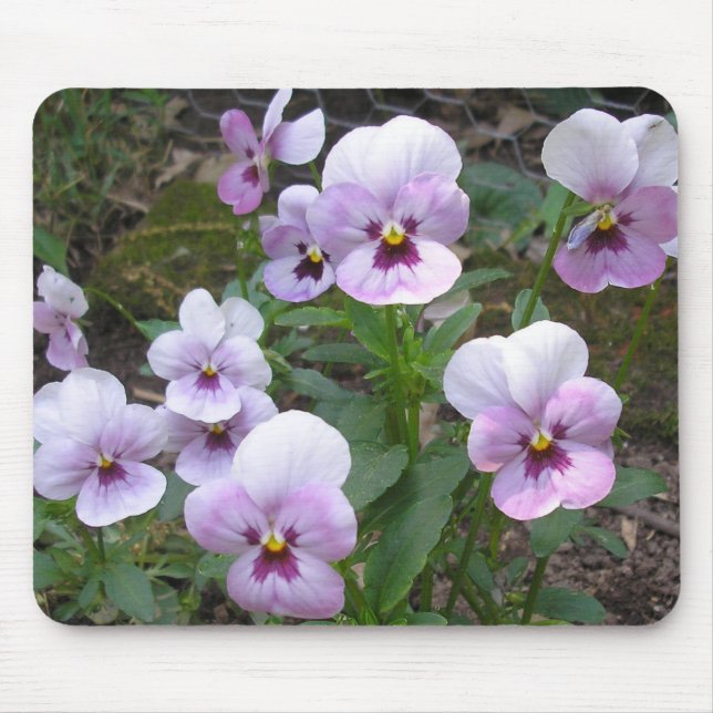 Pansies Mouse Pad (Front)