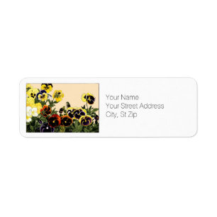 Pansies multicolores Botanical Art Return Adresse