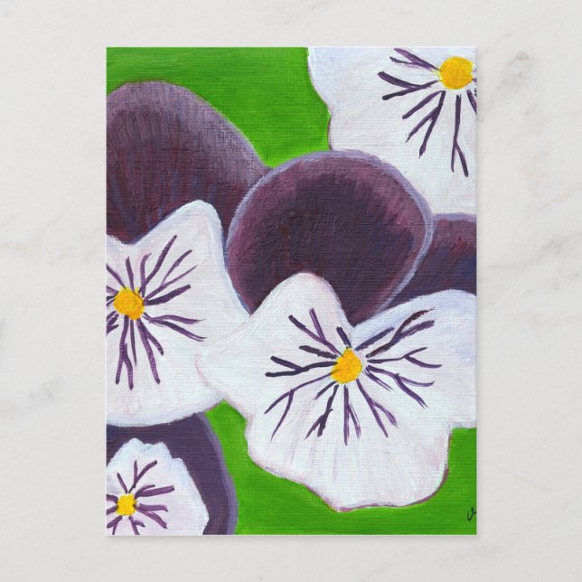 Pansies Postcard (Front)