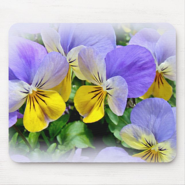 Pansies - Purple and Yellow Mouse Pad (Front)