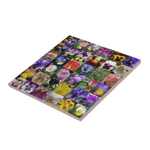  Pansies   Tile