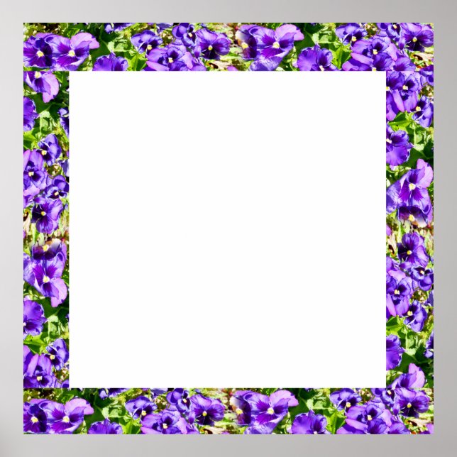 Pansies violettes Cadre photo, Poster (Devant)