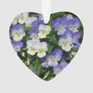 Pansies violettes Jardin Floral