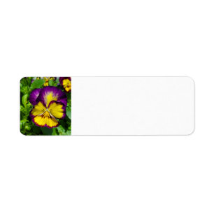 Pansy address label