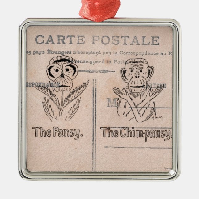 Pansy and Chimp Humour Metal Ornament (Front)