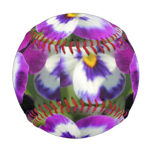 Pansy Baseball