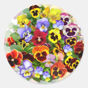 PANSY BEAUTY  SQUARE STICKER