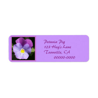 Pansy bleu violet