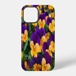 Pansy Bloom: Garden Beauty Close-up. iPhone 12 Case