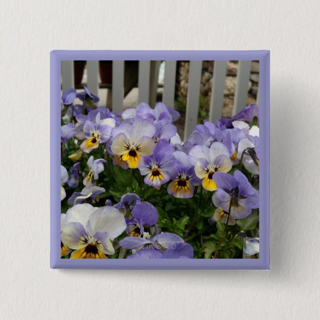 Pansy Blues Fence 2 Inch Square Button (Front)