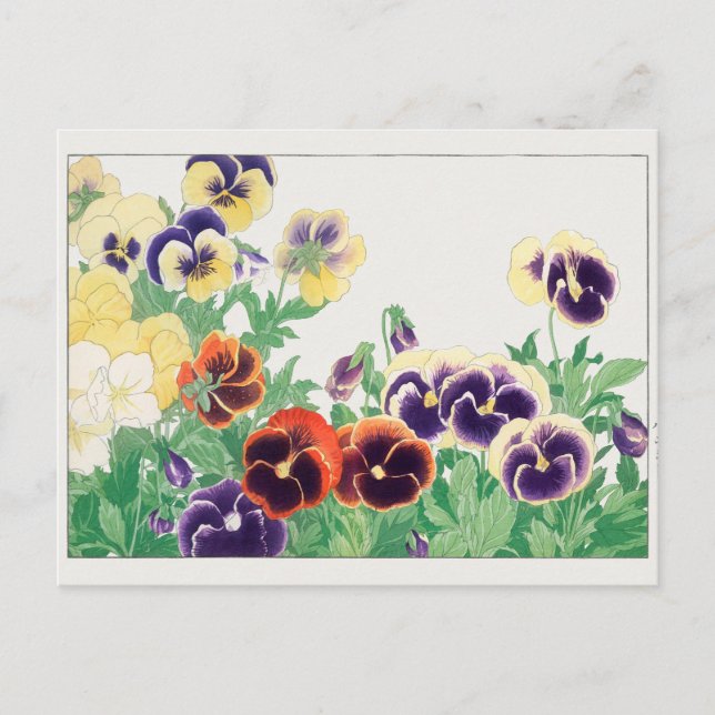Pansy by Tanigami Konan Postcard (Front)