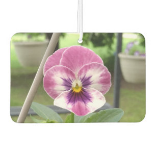 Pansy Car Air Freshener (Pink & Purple)