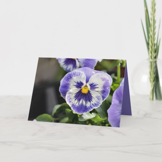 Pansy Card (Front)