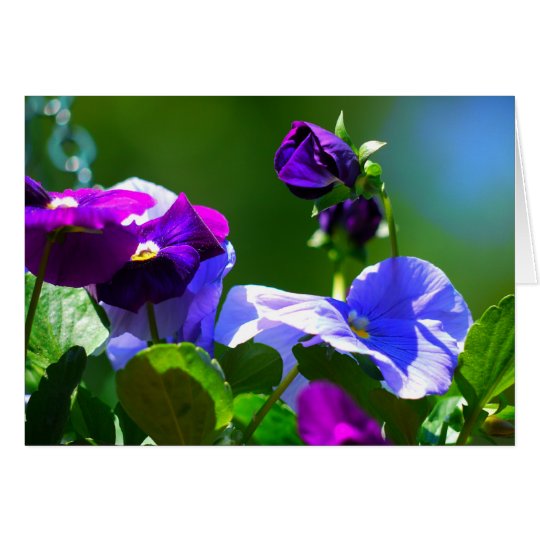 PANSY CARD-ANY OCCASION CARD