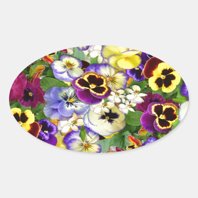 Pansy Cascade Oval Sticker (Front)