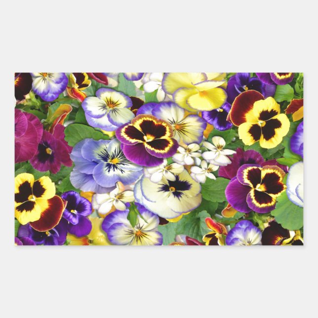 Pansy Cascade Sticker (Front)