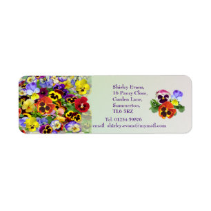 Pansy Display Custom Text