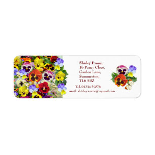 Pansy Display Custom Text