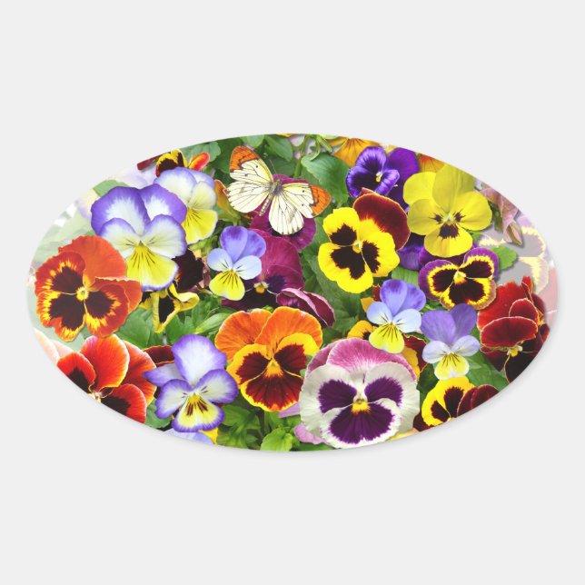 Pansy display with butterfly square sticker (Front)