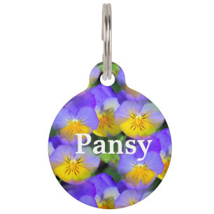 Pansy echoes pet tag