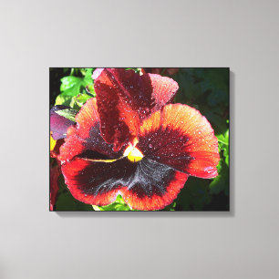 Pansy Flower Canvas Print