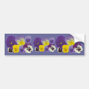 Pansy Flowers Bumper Sticker