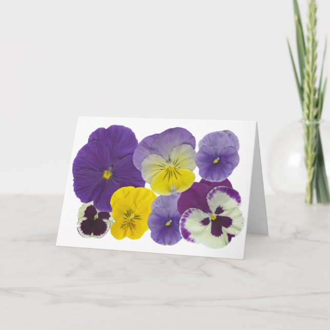 pansy flowers card (Front)