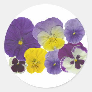 pansy flowers classic round sticker