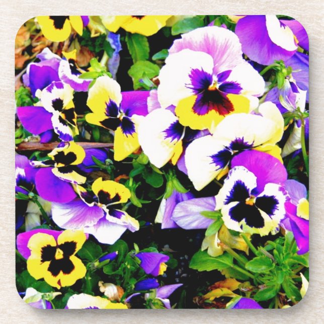 pansy flowers coaster (Front)