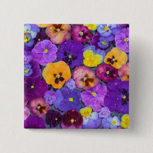 Pansy flowers floating in bird bath with dew 2 inch square button