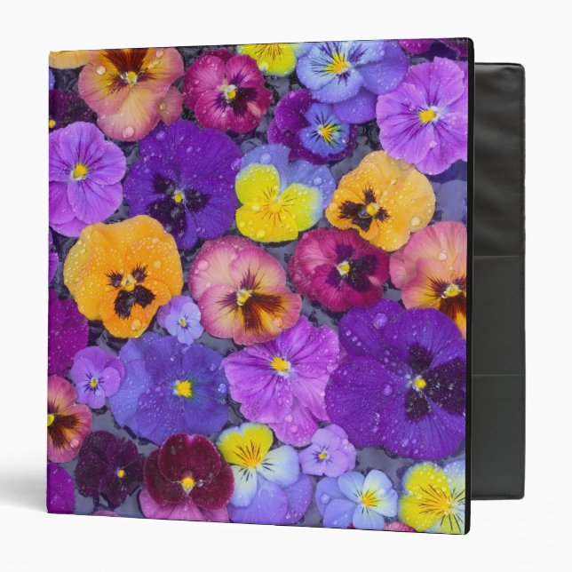 Pansy flowers floating in bird bath with dew binder (Front/Inside)