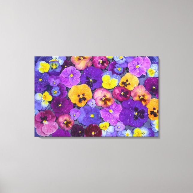 Pansy flowers floating in bird bath with dew canvas print (Front)