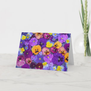 Pansy flowers floating in bird bath with dew card