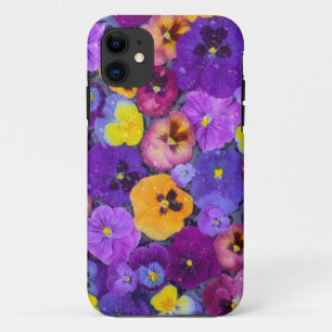 Pansy flowers floating in bird bath with dew iPhone 11 case
