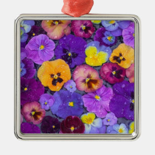 Pansy flowers floating in bird bath with dew metal ornament