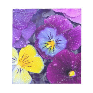 Pansy flowers floating in bird bath with dew notepad