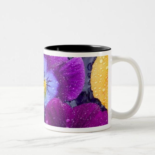 Pansy flowers floating in bird bath with dew Two-Tone coffee mug (Right)