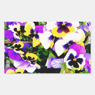 pansy flowers sticker