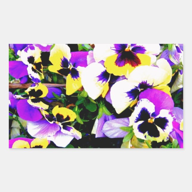 pansy flowers sticker (Front)