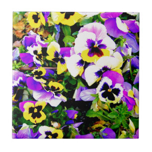 pansy flowers tile