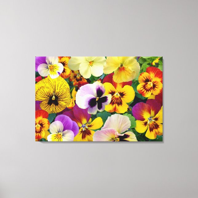 Pansy Flowers  ~ Wrapped Canvas Print (Front)