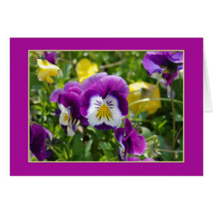 Pansy Garden Blank Card