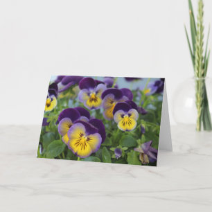 Pansy Greeting Card