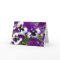 Pansy Greeting Card