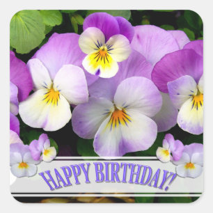 Pansy Happpy Birthday Square Sticker