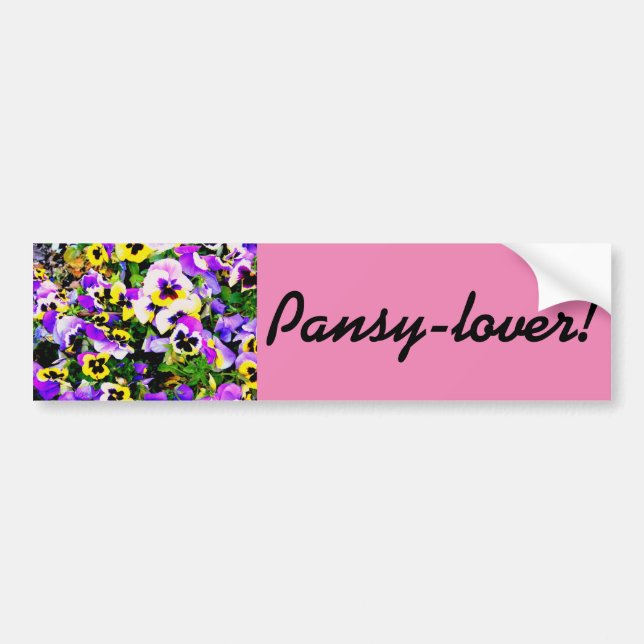 pansy lover bumper sticker (Front)