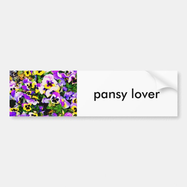 pansy lover bumper sticker (Front)