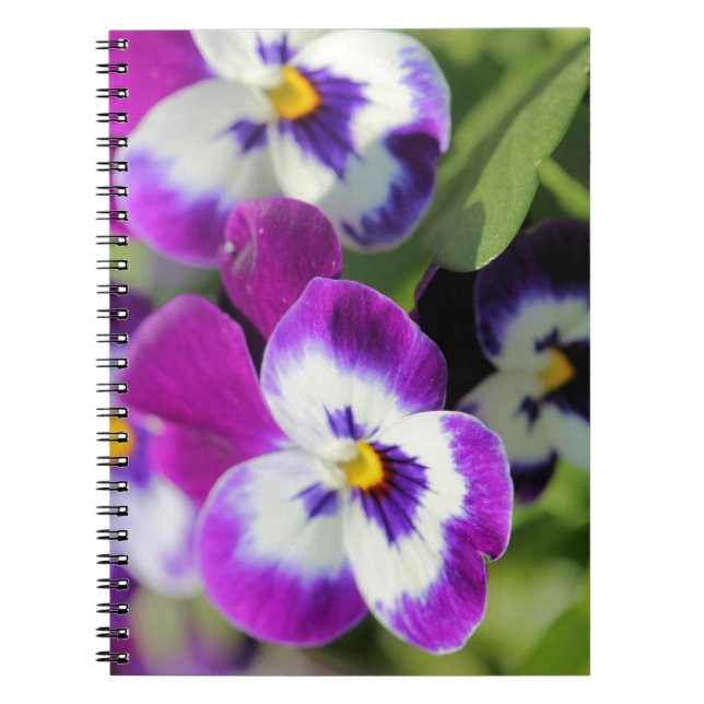 Pansy Notebook (Front)
